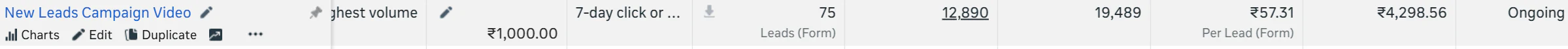 Meta Ads Client Review 2